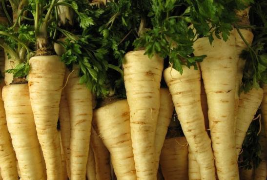 Parsley Root 1000 Seeds - Vesta Market