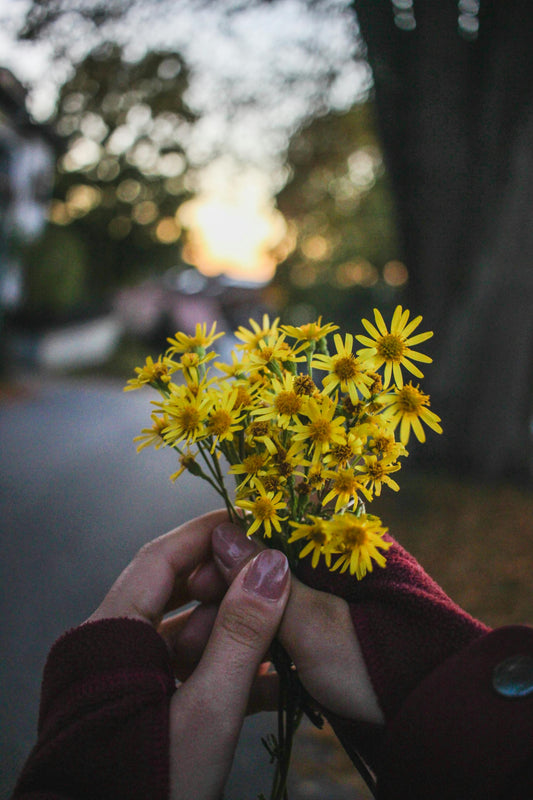 🌷 The Perfect Time to Plant: Seasonal Flower Seed Guide from VestaMarket.pl