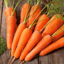Karlena Carrot 1000 Seeds - Vesta Market
