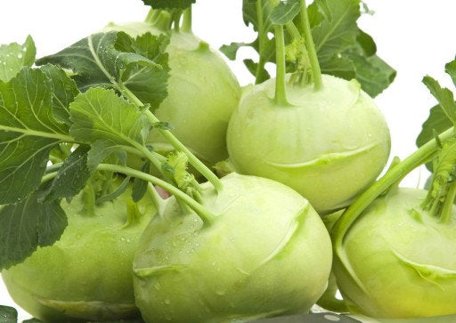 Kohlrabi Delikatess Weisser seeds - Vesta Market