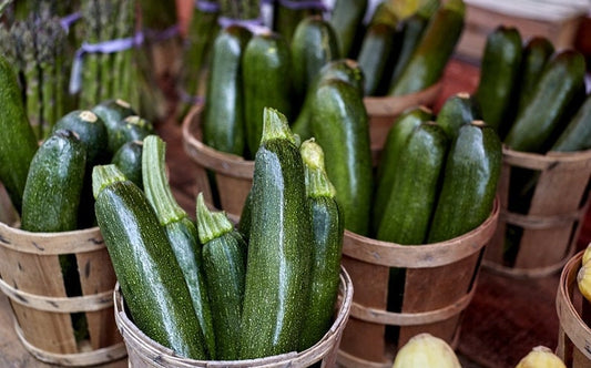 Zucchini Black Beauty 30 seeds Vesta Market