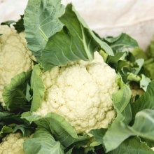 Cauliflower Delta seeds - Vesta Market