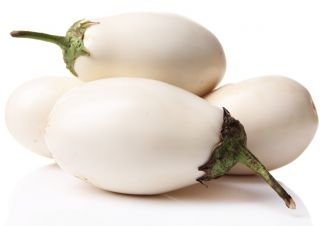 Eggplant Golden Eggs plant seeds - Vesta Market