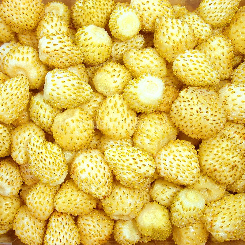 yellow wonder strawberry seeds Yellow Wonder Wild Strawberry – Yellow – Approx. 275 Seeds (0.1g)