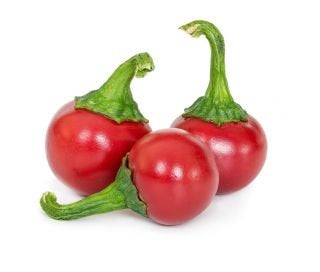 Coral pepper Seeds 0.2 Grams - Vesta Market