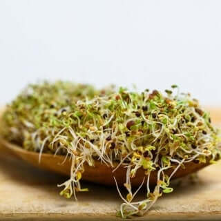 10 grams Organic Broccoli Raab seeds for sprouts - Vesta Market