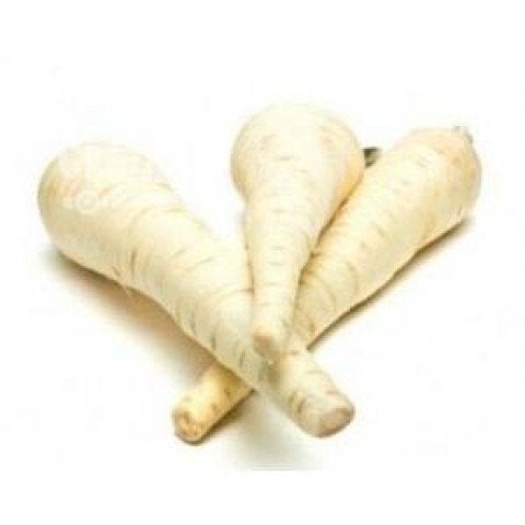 Parsnip Kamo Root 5000 seeds - Vesta Market