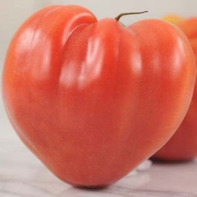 Tomato Herodes 60 seeds Vesta Market
