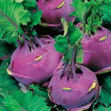 Kohlrabi Delikatess Blauer - 200 seeds - Vesta Market