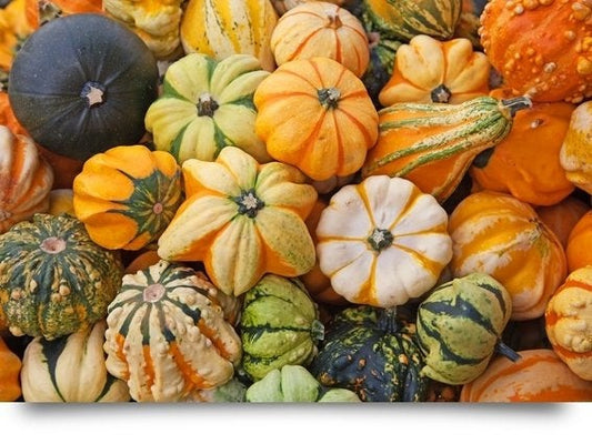 Crowned Pumpkin - 20 seeds - Vesta Market
