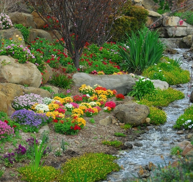Rock Garden Perenial Mix 100 seeds Vesta Market