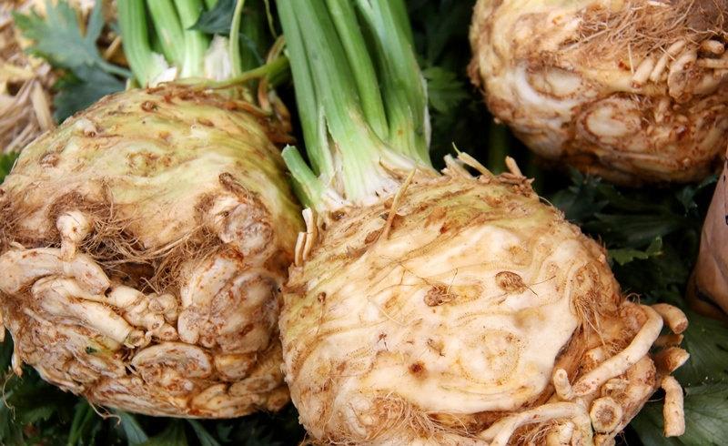 Celery Root Maxim 100 Seeds - Vesta Market