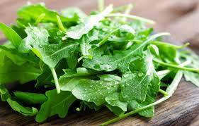 Arugula Seeds 2g (around 800 seeds) - Vesta Market