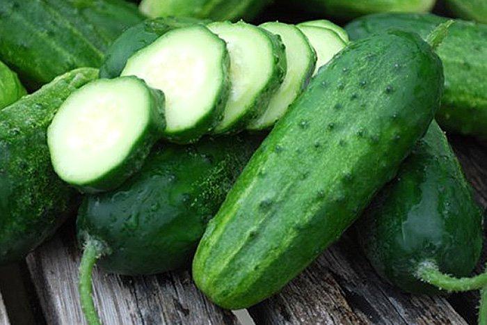 50 European Cucumber Sremski F1 Seeds - Vesta Market