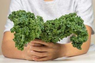 2 Grams Organic Westlandse Herfst Kale seeds - Certified Organic Seeds - Vesta Market