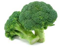 Calabrese Natalino Broccoli 300 Seeds - Vesta Market