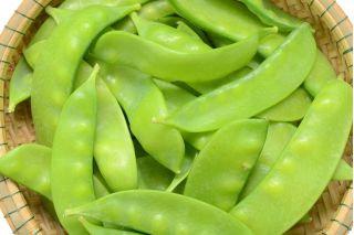 15 grams Organic Seeds Norli Snow Peas - Vesta Market