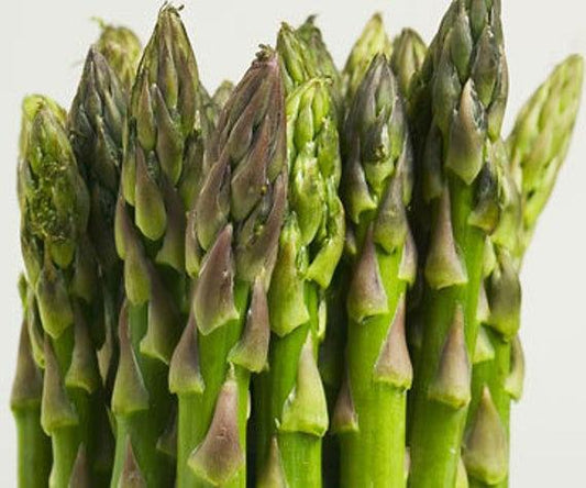 Asparagus Mary Washington Seeds - Vesta Market