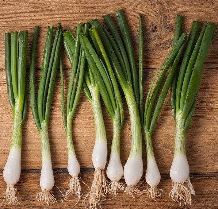 Onion Bajkal 1000 seeds - Vesta Market
