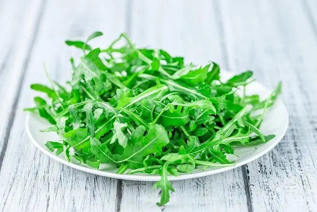 Arugula 100 seeds - Vesta Market