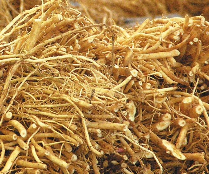 Dried Valerian Root 100g / 3.52 oz - Vesta Market