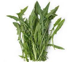 Dried Dandelion Leaves 25g / 0.88 oz - Vesta Market