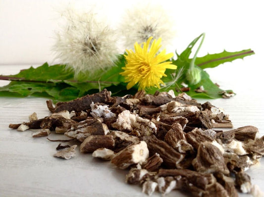 Dried Dandelion Root (Taraxaci radix) 100g / 3.50 oz - Vesta Market