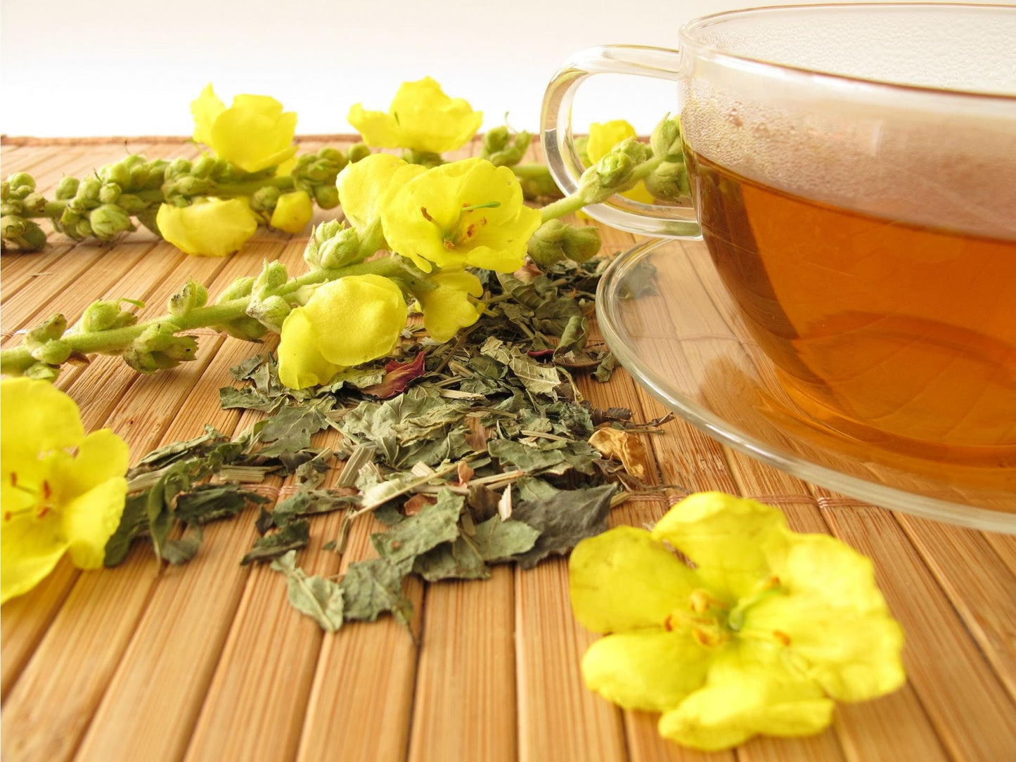 Mullein Leaf Tea | Mullein Leaf (Verbascum Thapsus) | Dried Mullein Leaf | Mullein leaf Herb | 1 oz to 16 oz - Vesta Market
